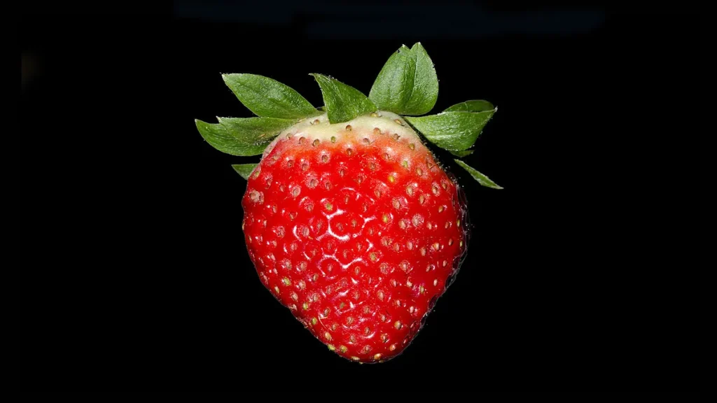 How Much Does the Internet Weigh? The Surprising Strawberry-Sized Answer 1 A large red strawberry illustrating the internet's estimated 50-gram weight